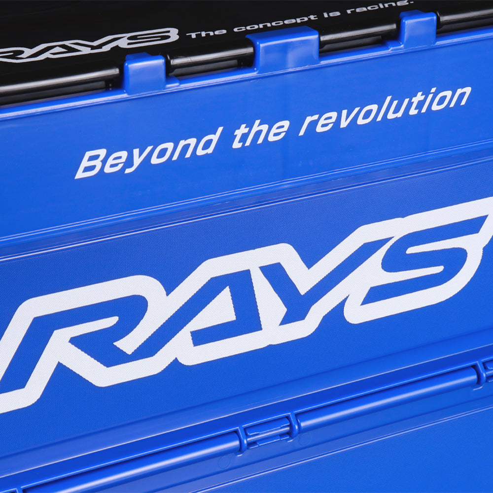 Rays Official Folding Storage Box Container